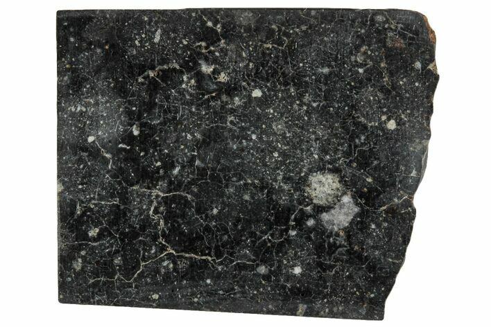 Polished, Starry Night Lunar Meteorite Slice ( g) - NWA #291438